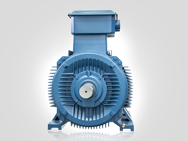 YE2-355M2-4 YE2-355M2-4